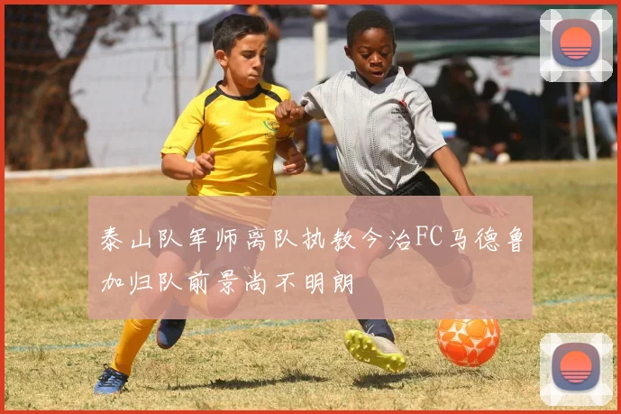 泰山队军师离队执教今治FC马德鲁加归队前景尚不明朗