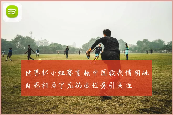 世界杯小组赛首轮中国裁判傅明独自亮相马宁无执法任务引关注